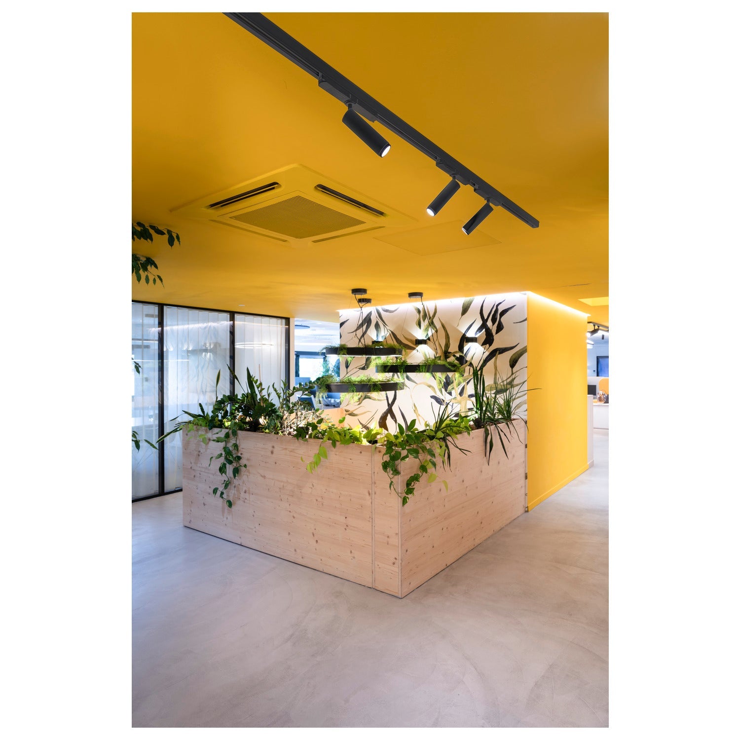 SLV GRIP! M, 3~track spot, cylindrical, 3000 K, 20 W, DALI, touch, 42°, black / gold 1008438