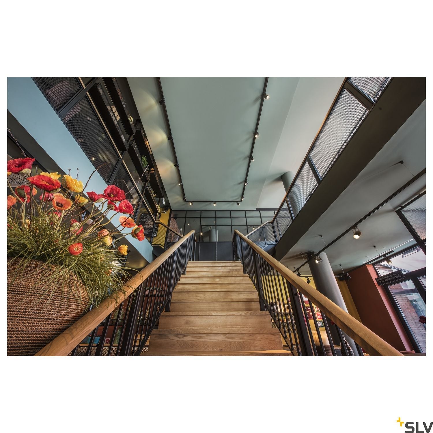 SLV EURO SPOT GU10, black, max. 25W, incl. 3-circuit adapter 153850